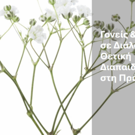 Γονείς & Παιδιά σε Διάλογο: Η Θετική Διαπαιδαγώγηση στη Πράξη